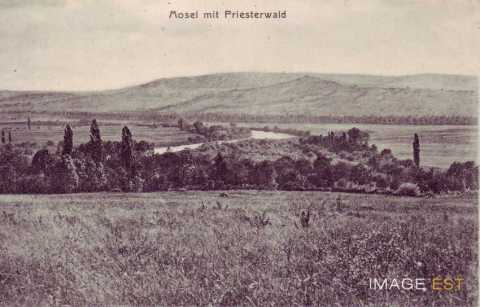 Bois-le-Prêtre (Meurthe-et-Moselle)